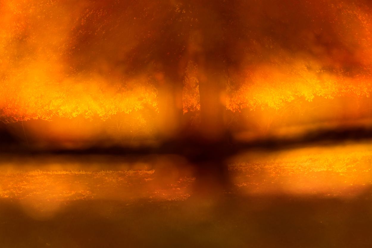 Autumn Fire, a work by Engela Gobregts