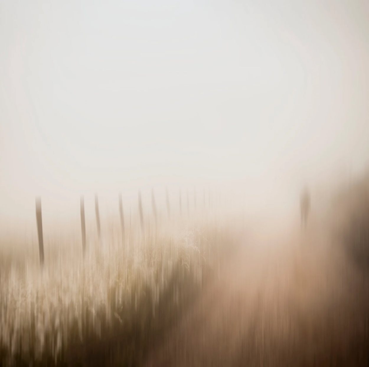 Countryside Phantasy, by Samantha Lee Osner
