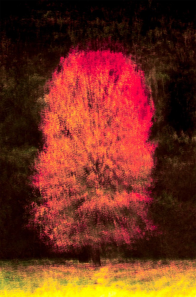 Solitaire, a work by Engela Gobregts