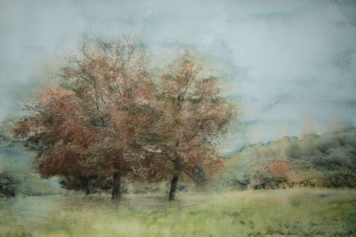 Autumn mood, a work by Gillian Mager