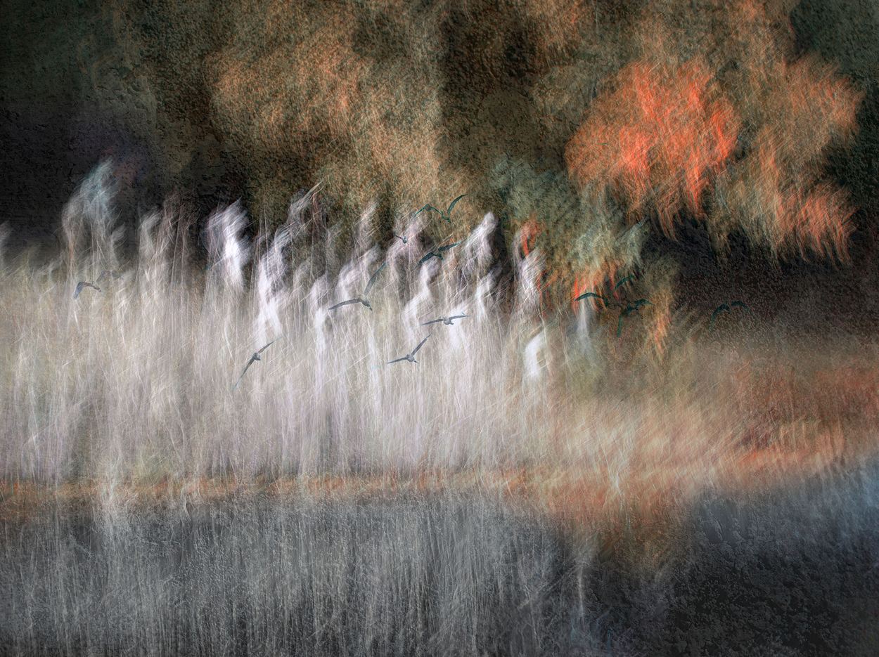 When the Silence Took Flight, a work by Ann Baret