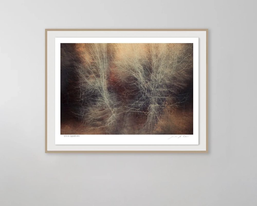 A framed woodland impression hung on a pale wall