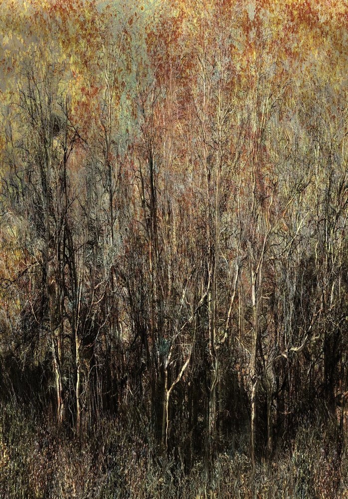 Autumn woodland worked with heat and emulsion