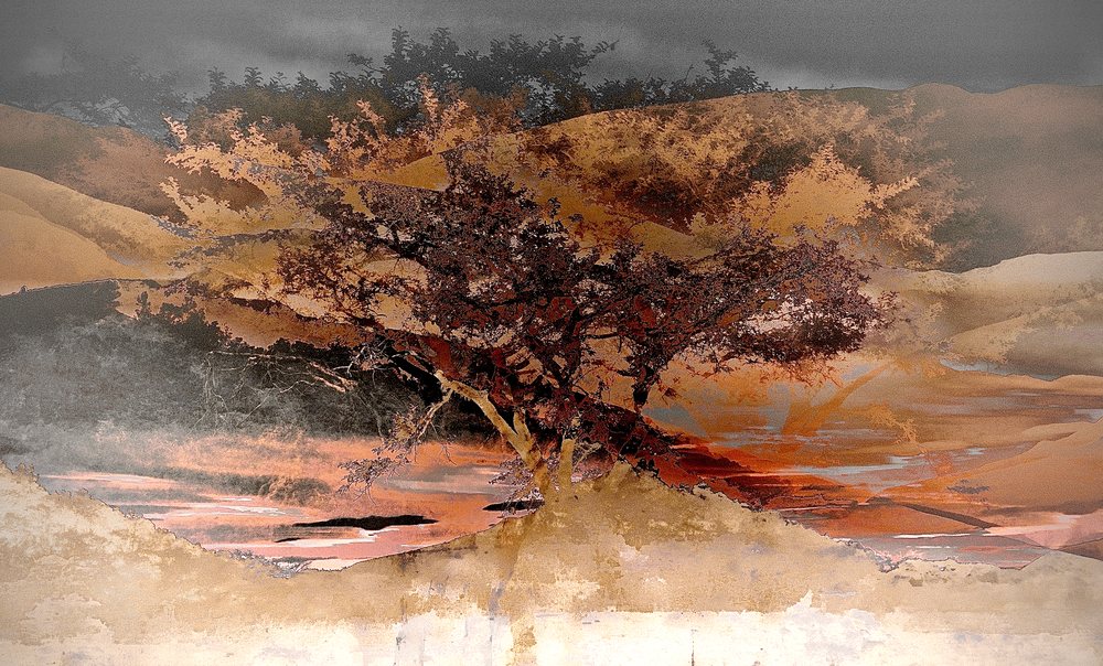 A spreading tree over water in warm ochre and rust