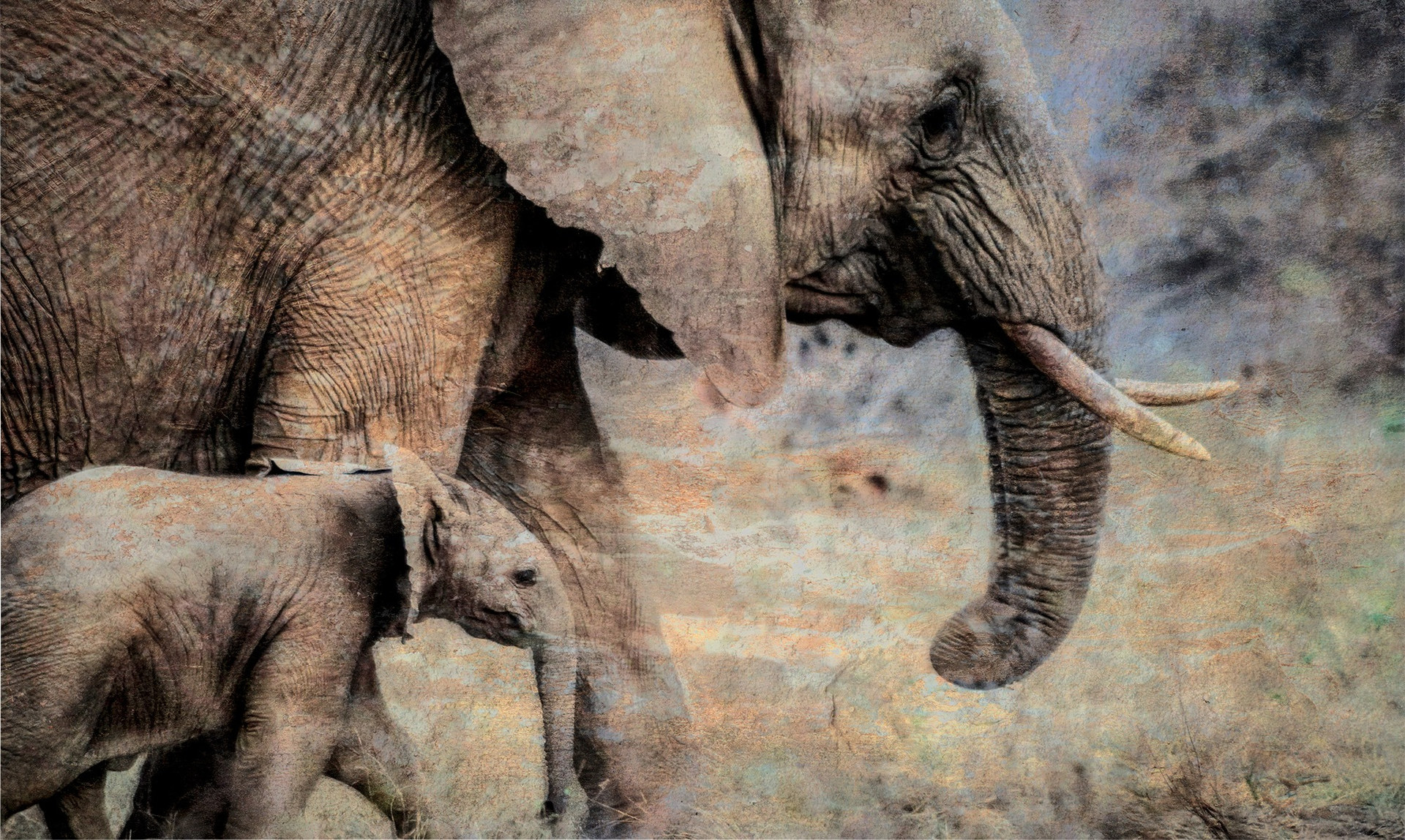 Wildlife Art Photography, Marloth Park