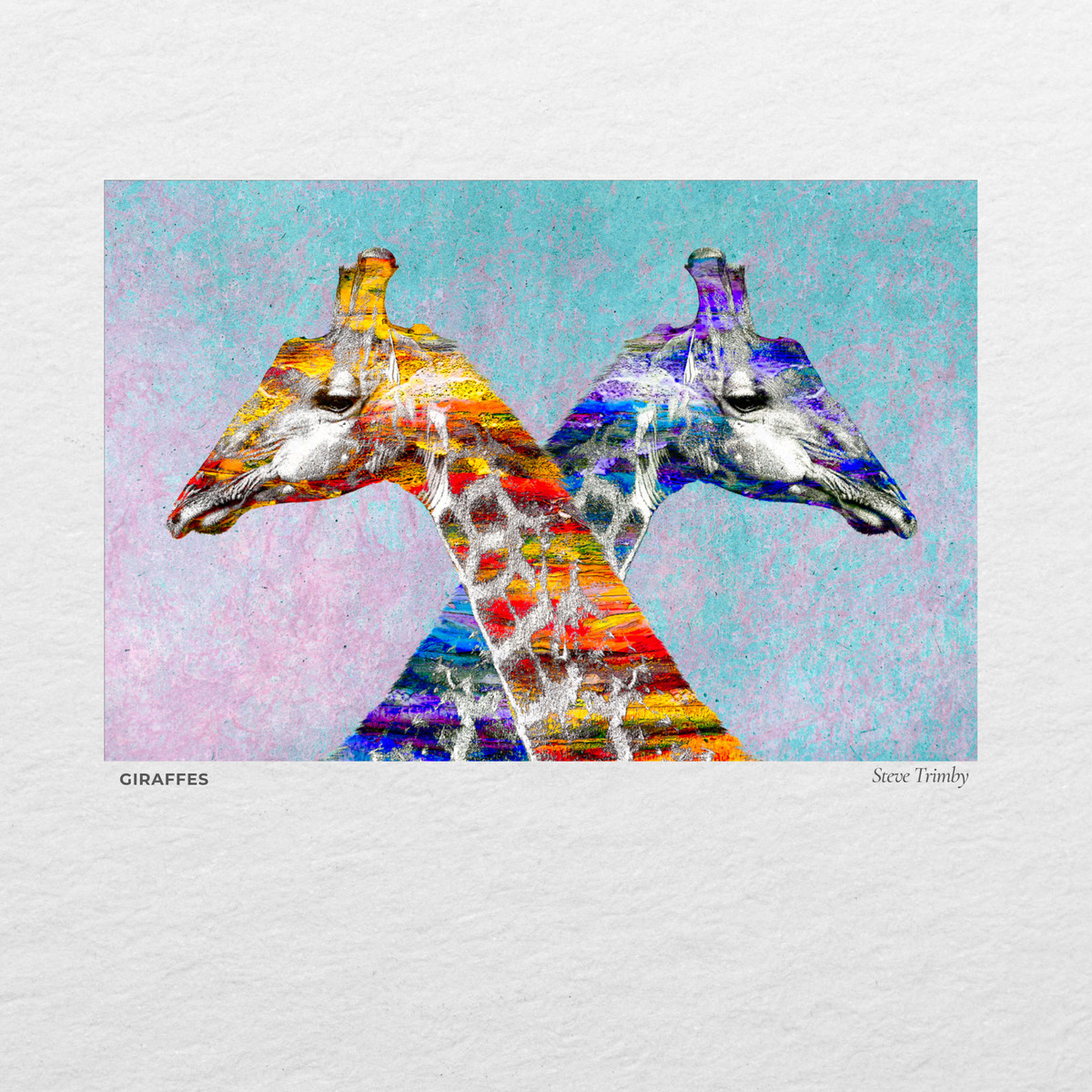 Two giraffes in bright painted colour, heads together
