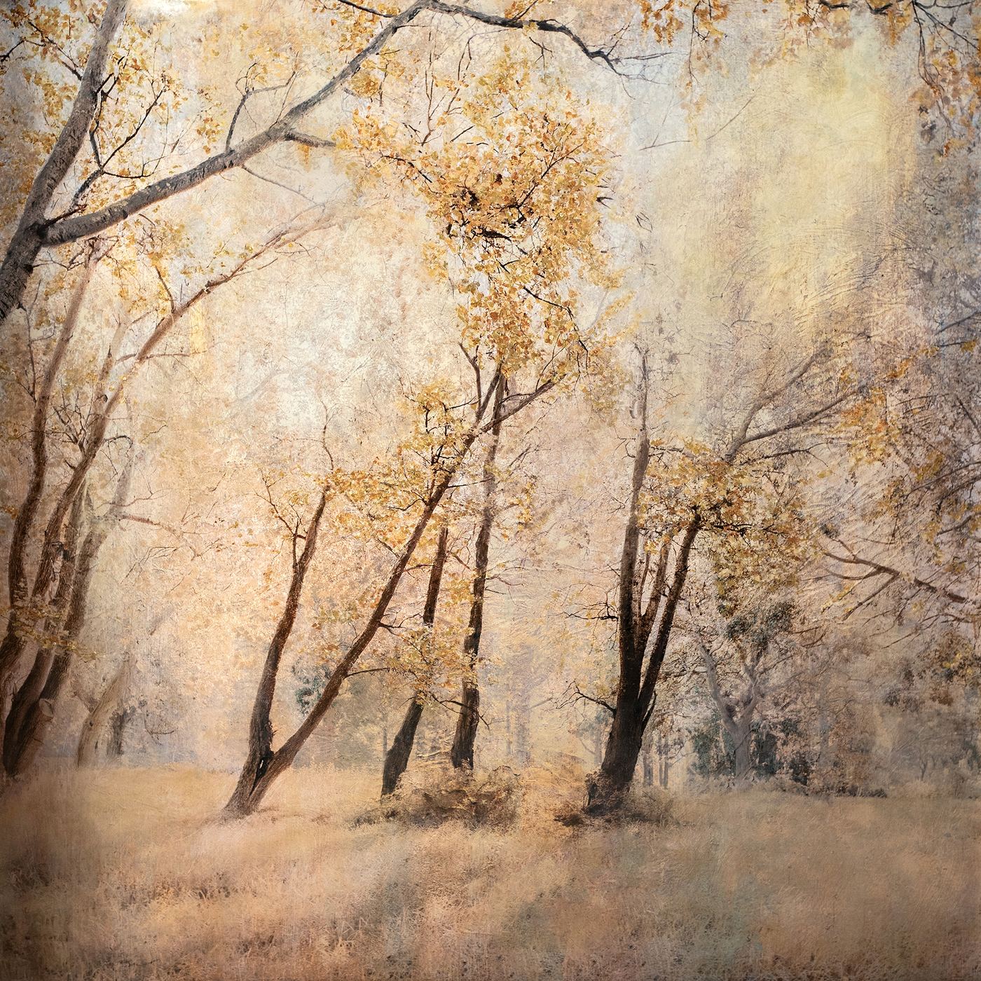 Harmony of Gold, by Samantha Lee Osner