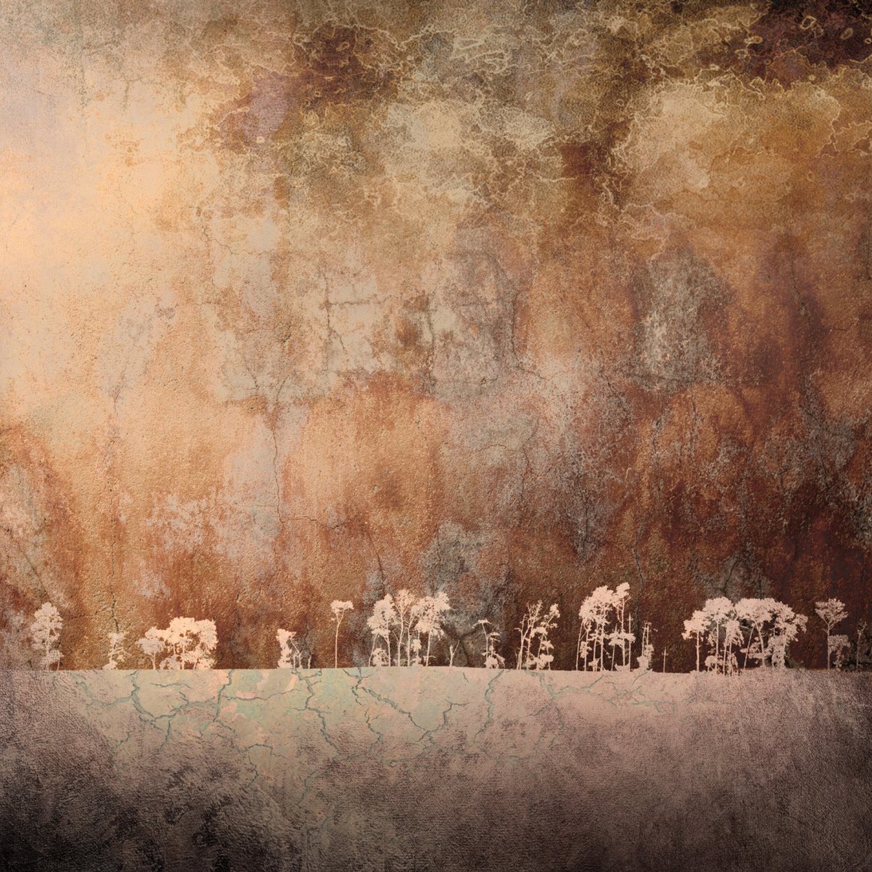 Beau Nexus No.3, by Samantha Lee Osner