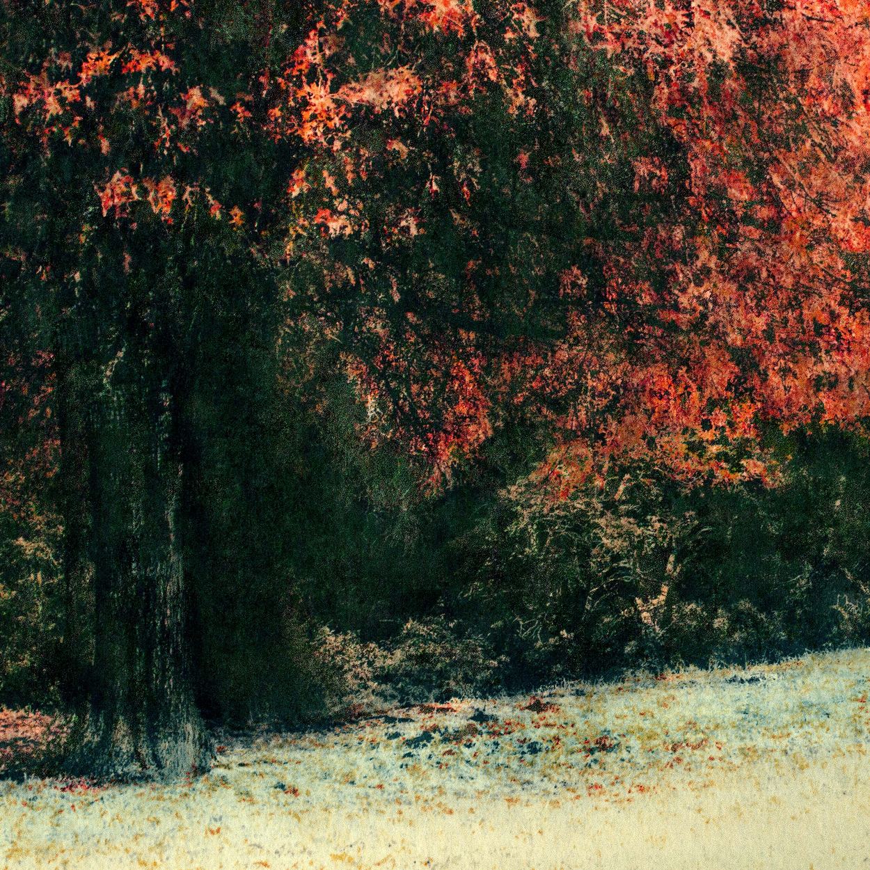 Contemplation (Square Autumn Tree), a work by Engela Gobregts