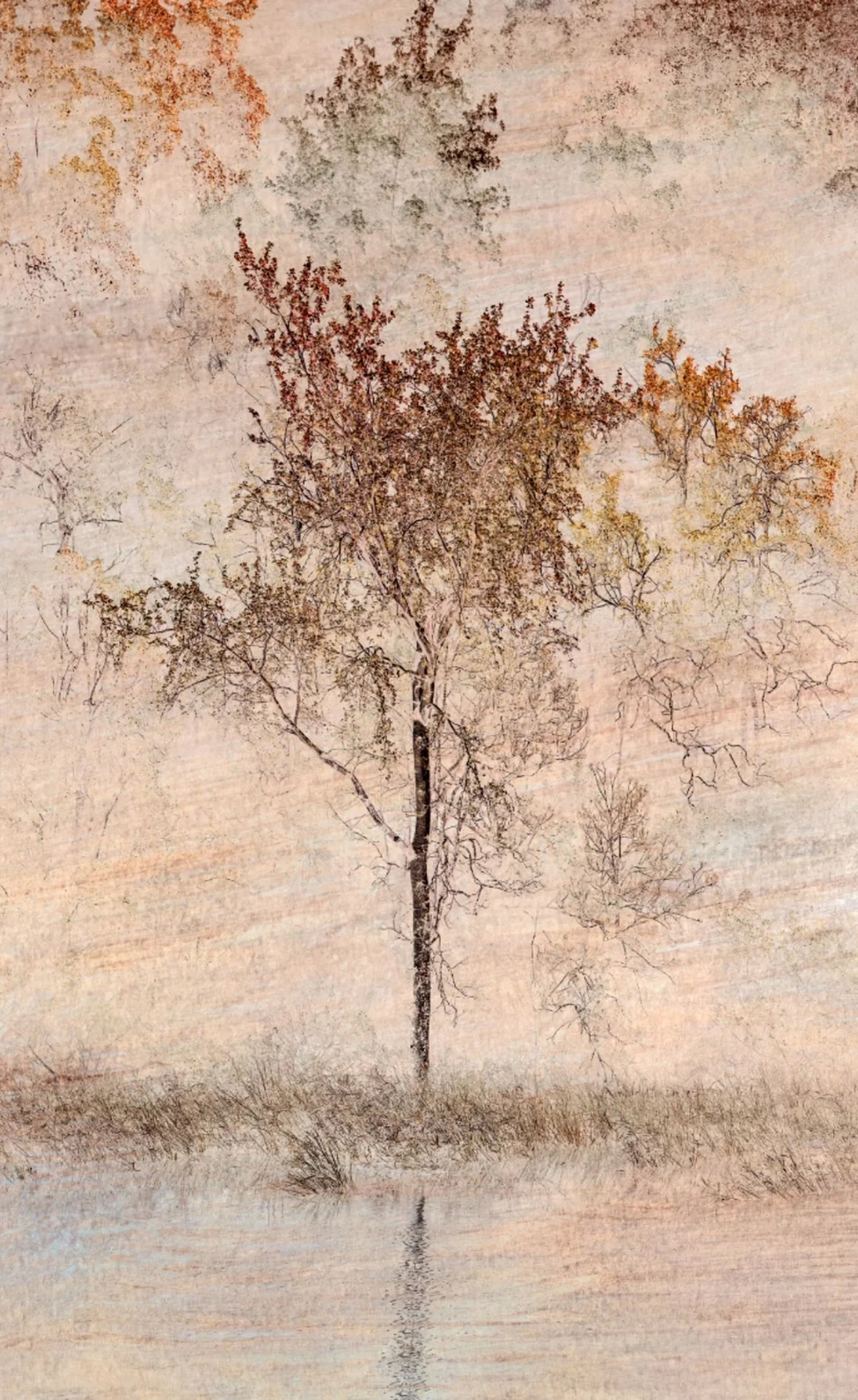 Whispers of Nature No.2, by Samantha Lee Osner