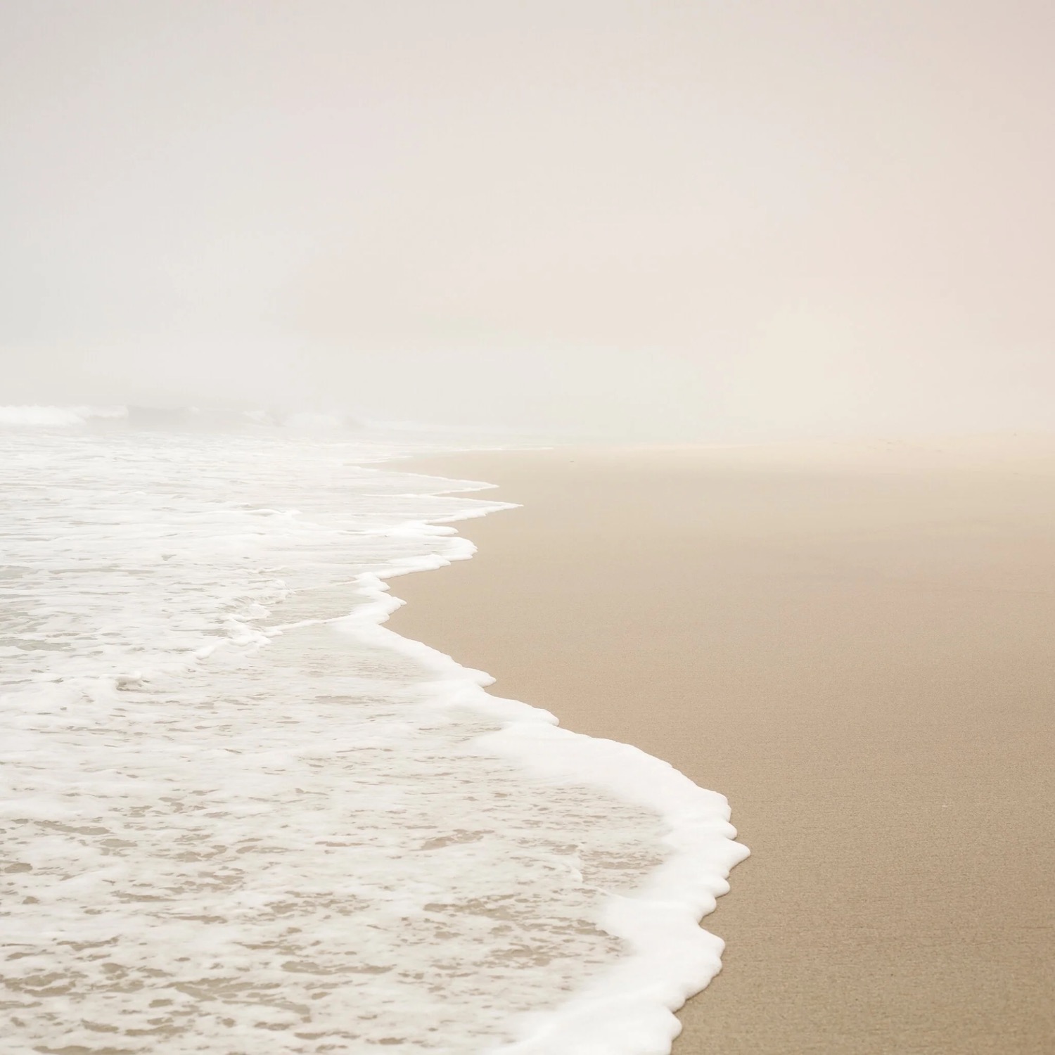 Minimal study of pale sand and a single curve of white foam
