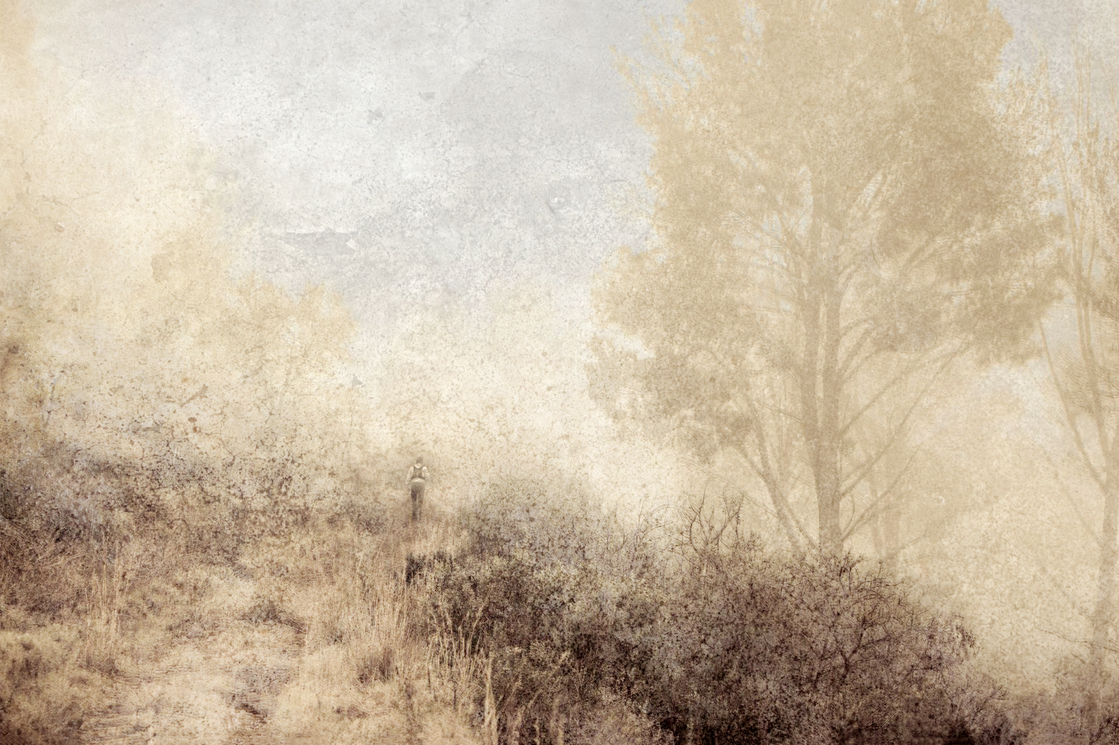 Silent Retreat, our suggested correction