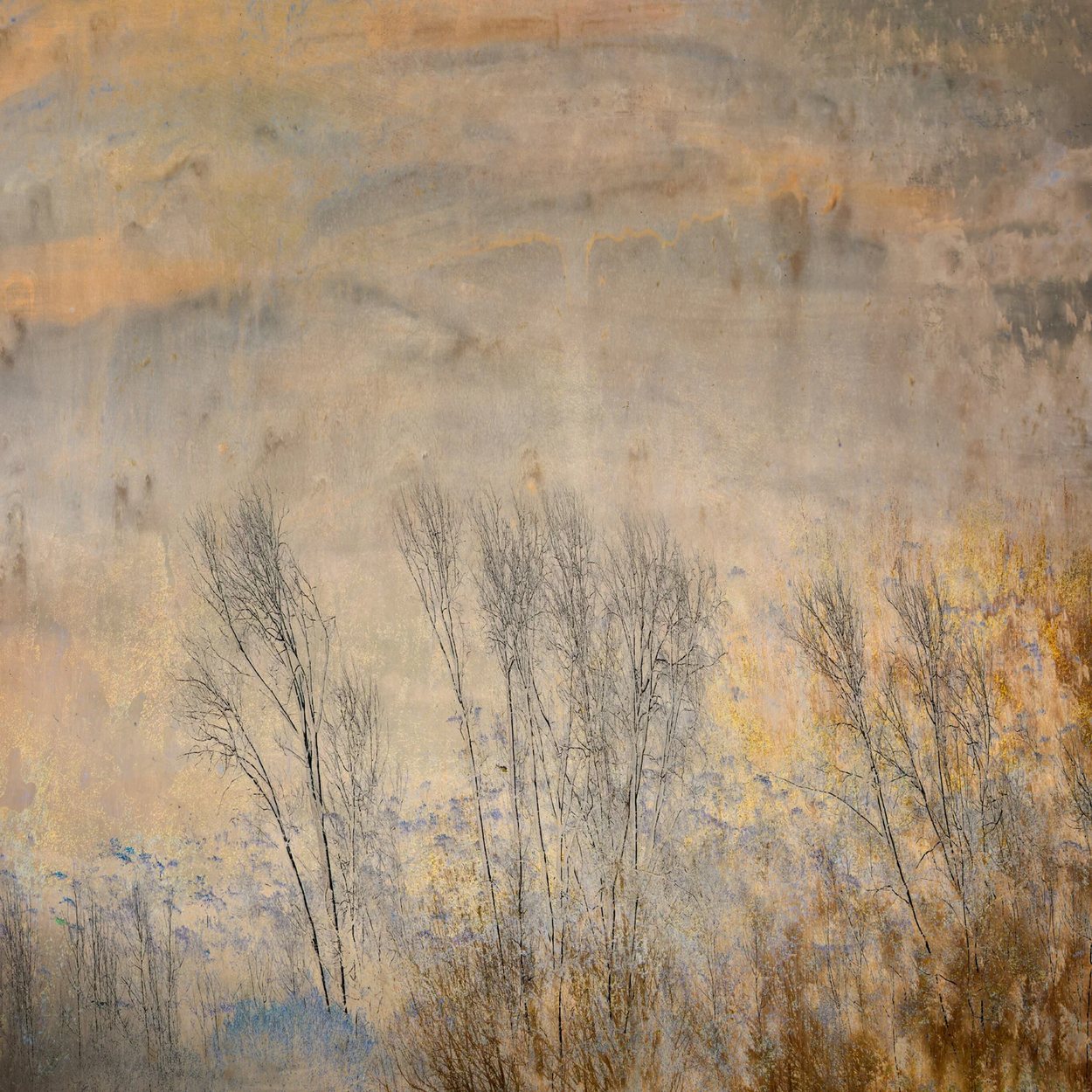 Pastel Impressions No.1, by Samantha Lee Osner