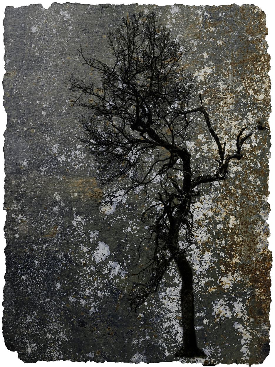 Naked Strength, a work by Andre de Koker
