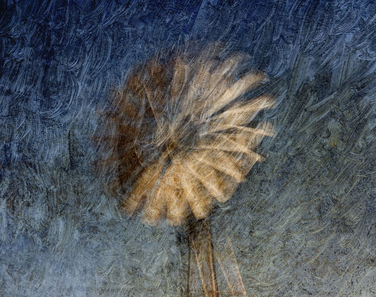 Windmill Whirl, a work by Craig O'Flaherty