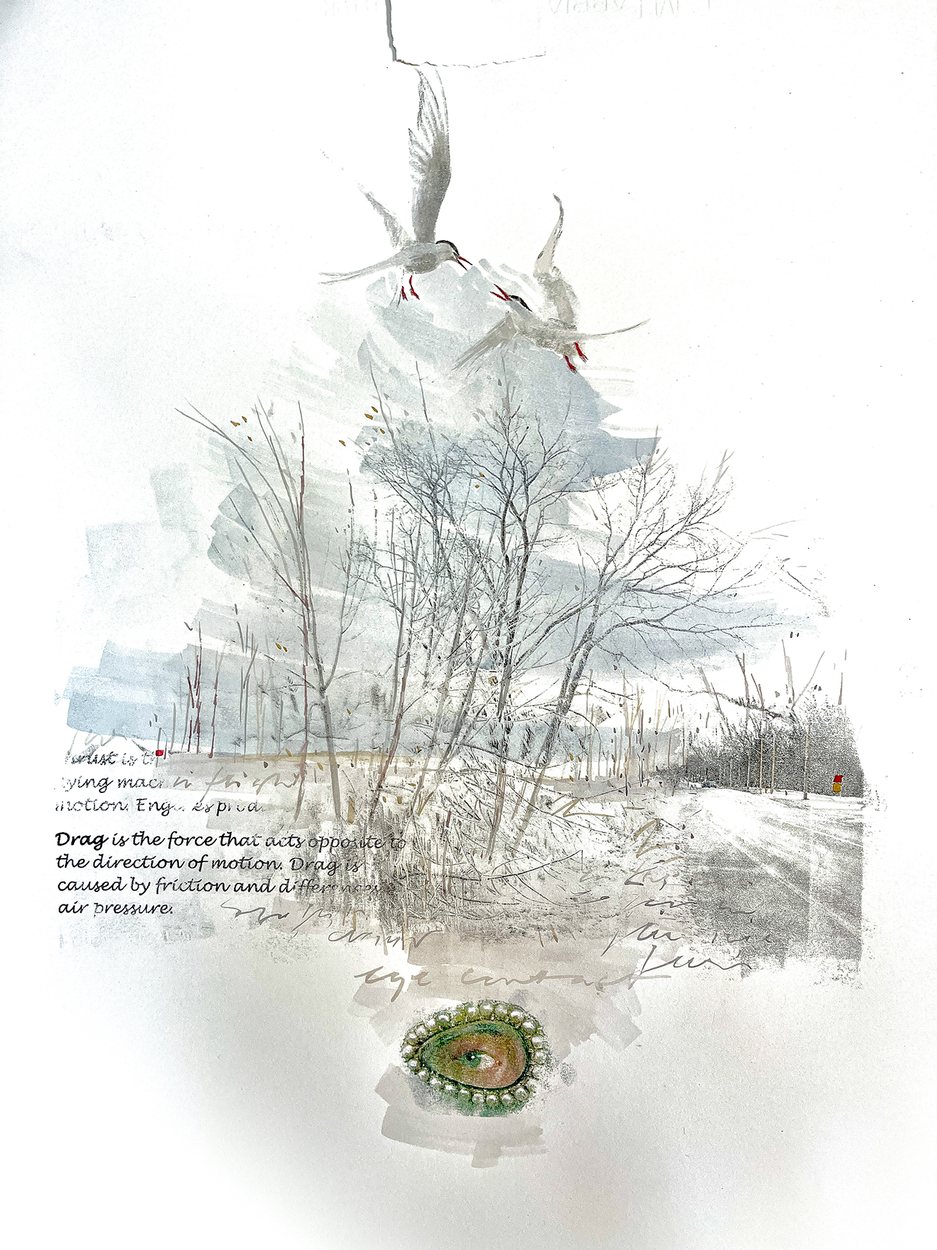 Flight, a work by Leonie Scholtz