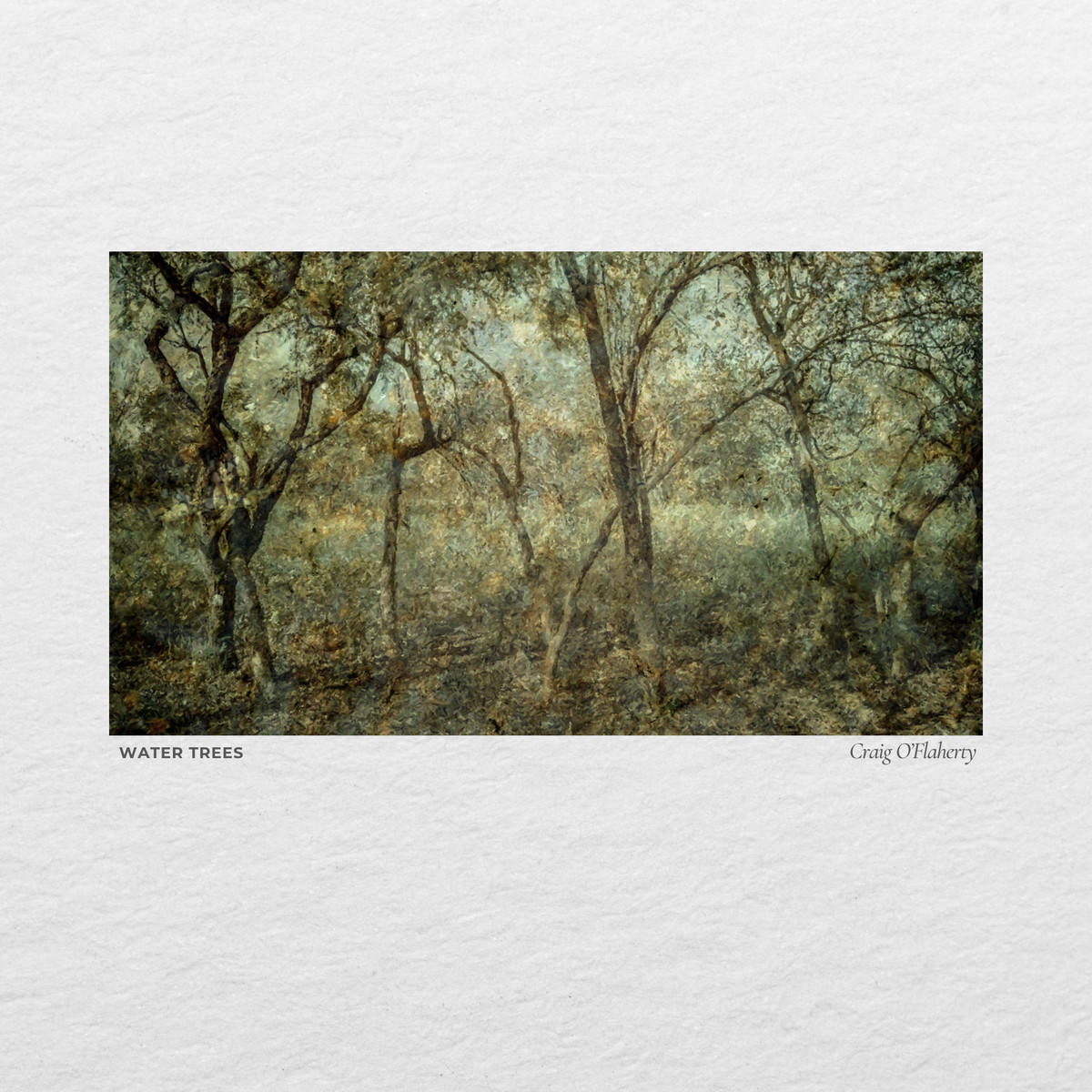 Bare winter trees on a pale textured ground