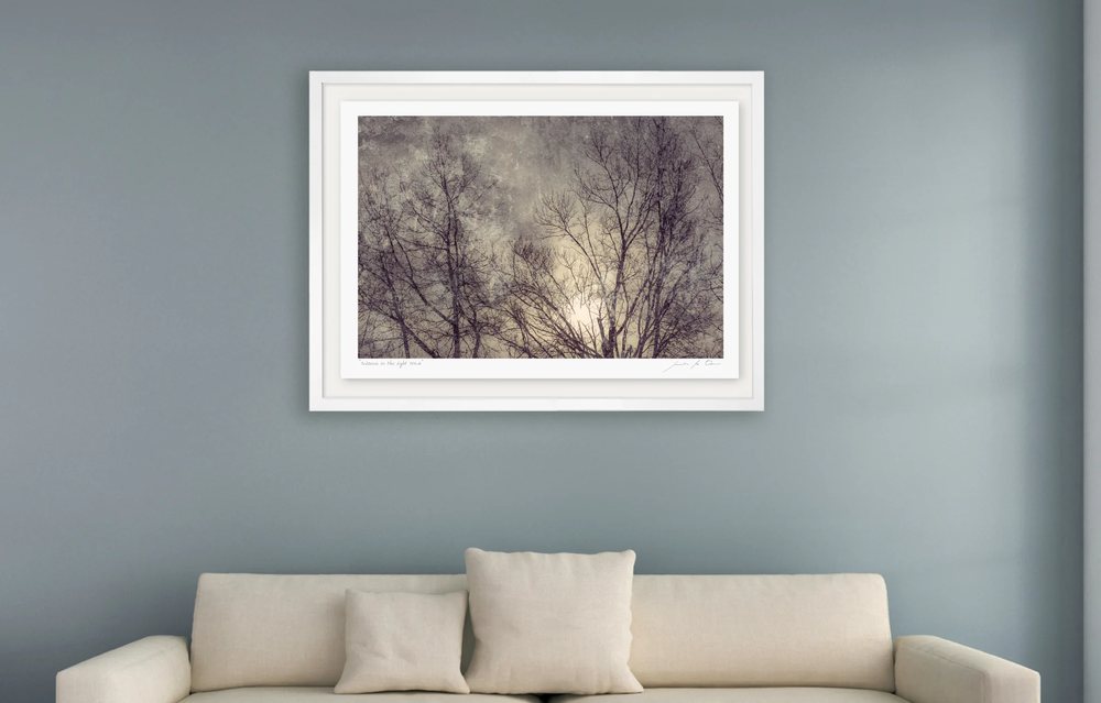 A framed study of bare trees against soft light, hung above a pale sofa