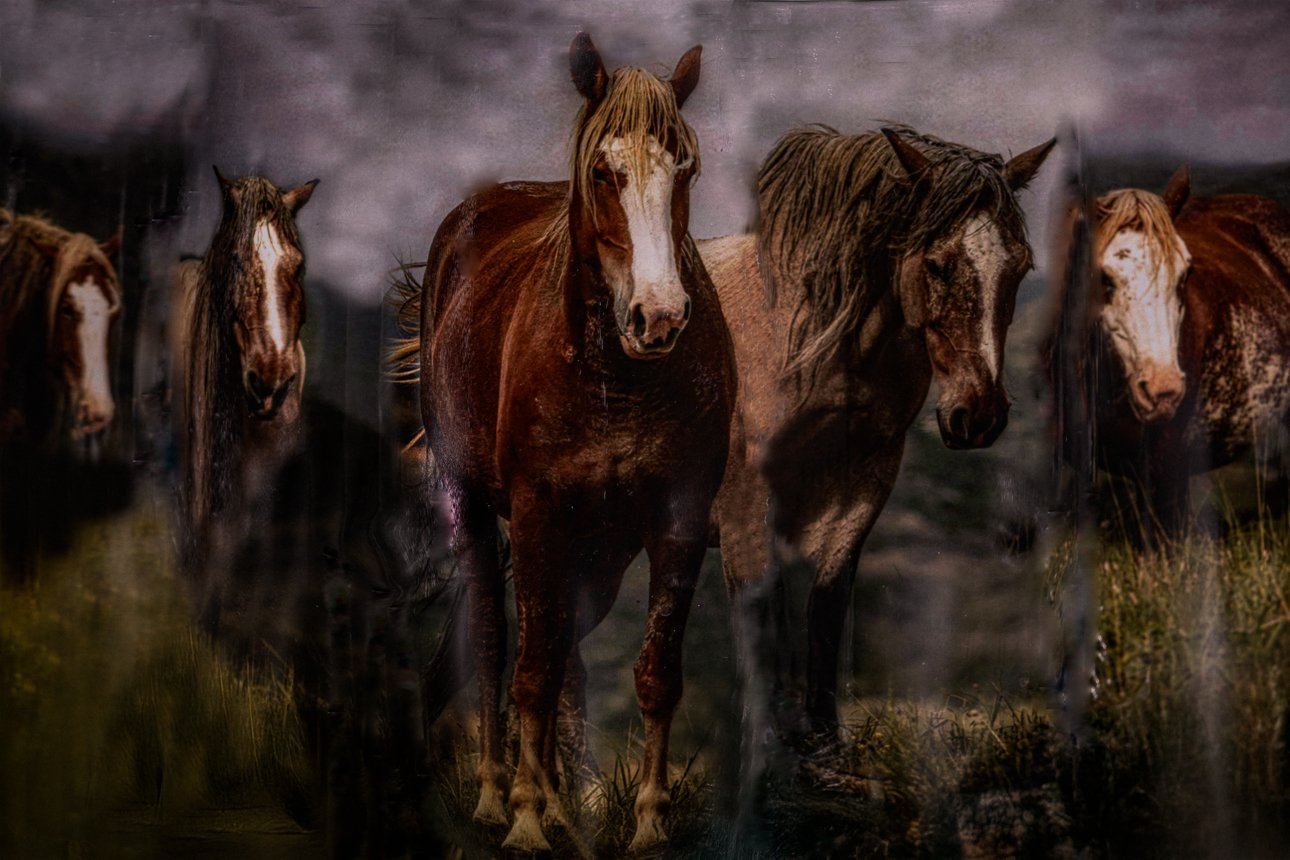 A piece made with the Refracted Impression technique by Jackie Meredyk