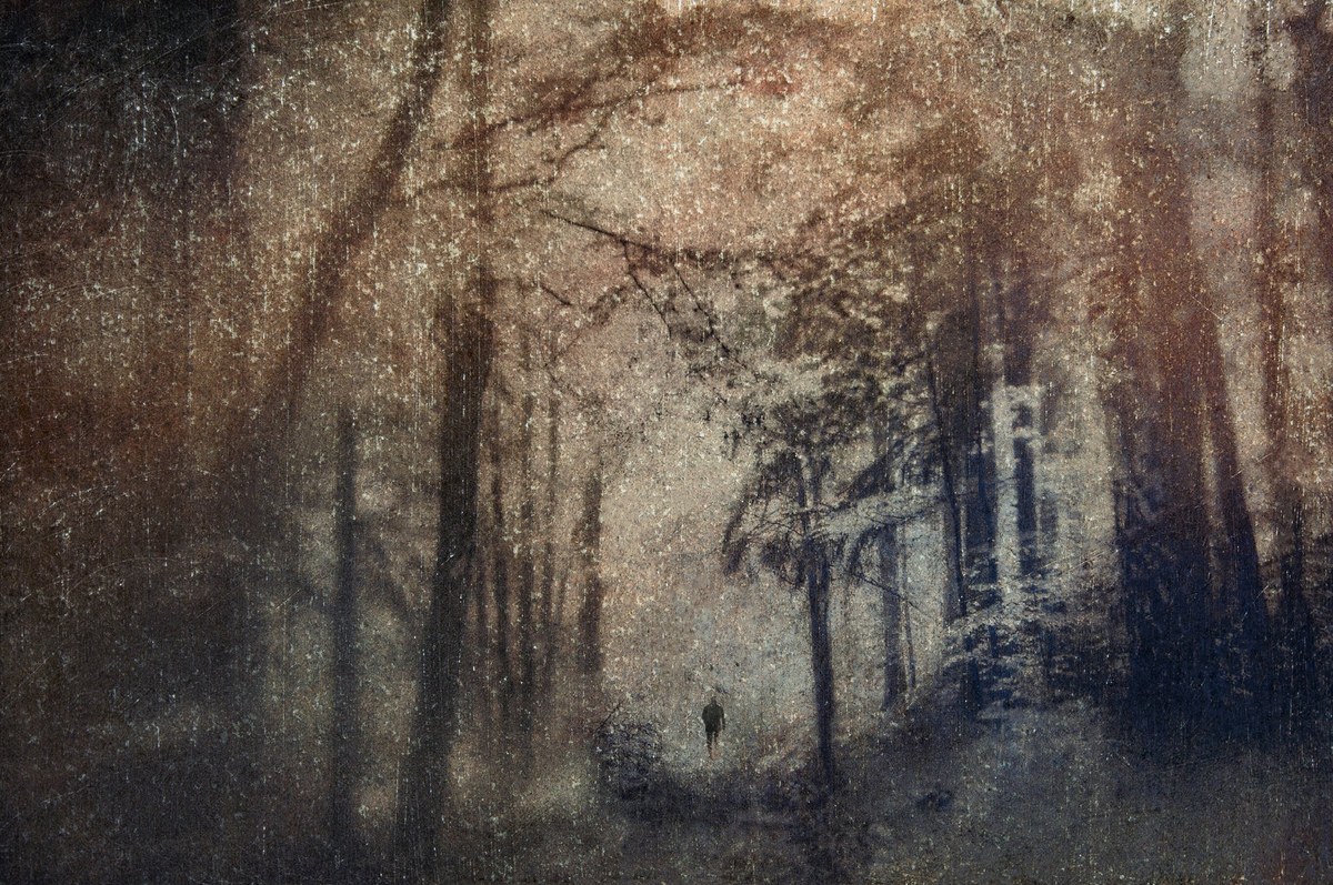 Figure alone in a misty wooded landscape