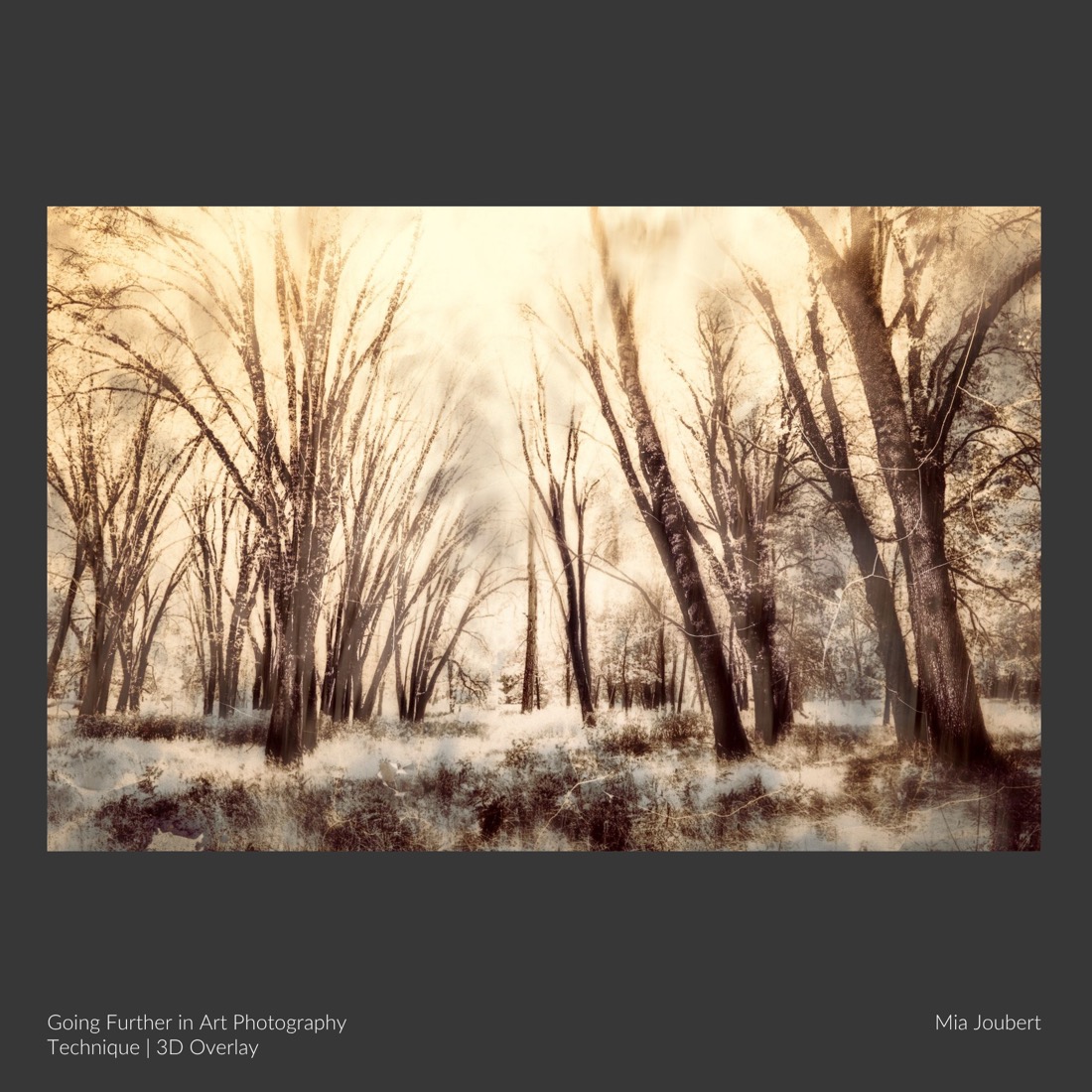 Woodland art photography by Mia Joubert made with the 3D overlay technique on Going Further in Art Photography