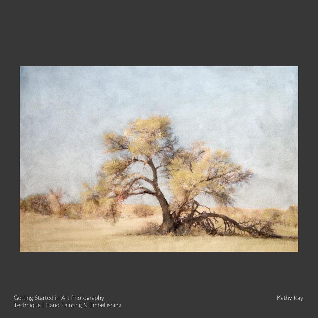 A photographic artwork by Kathy Kay, made on the Getting Started in Art Photography course using the Hand Painting and Embellishing technique