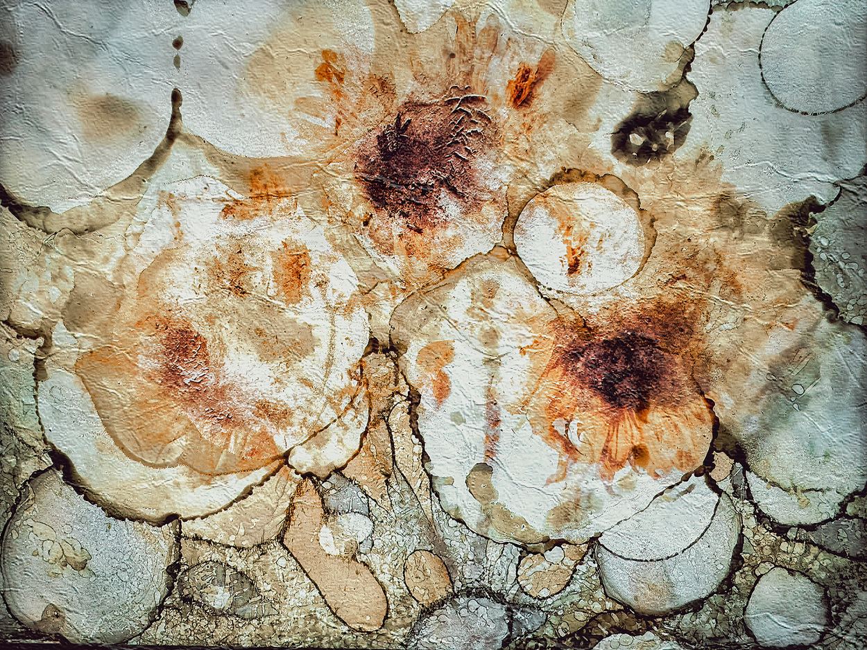 Where Memory Softens, a work by Lize du Plessis