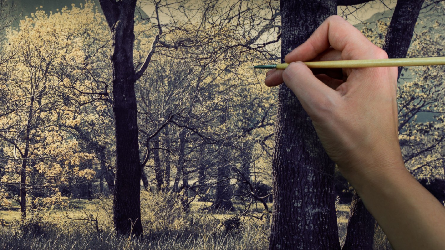 A hand painting into a photographic print of an autumn woodland, the hand paint and embellish technique taught in Getting Started in Art Photography