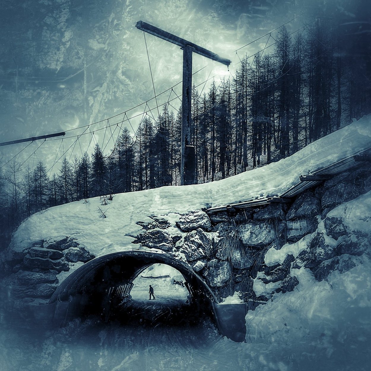Enclosure, a work by Leonie Scholtz