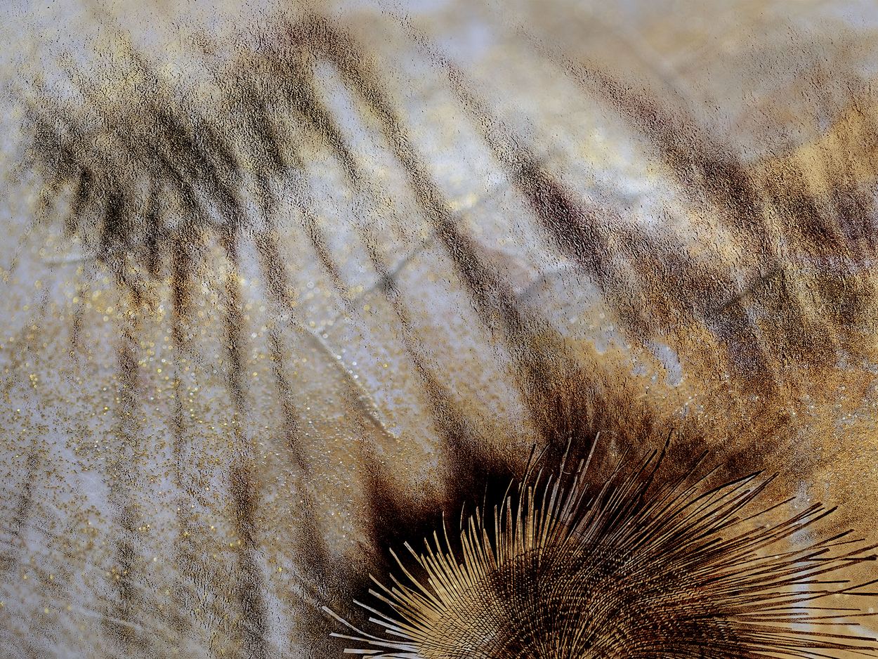 The Quiet Insistence, a work by Ann Baret