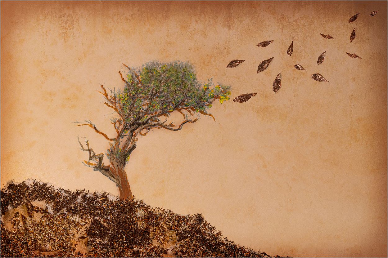 Letting Go, a work by Andre de Koker