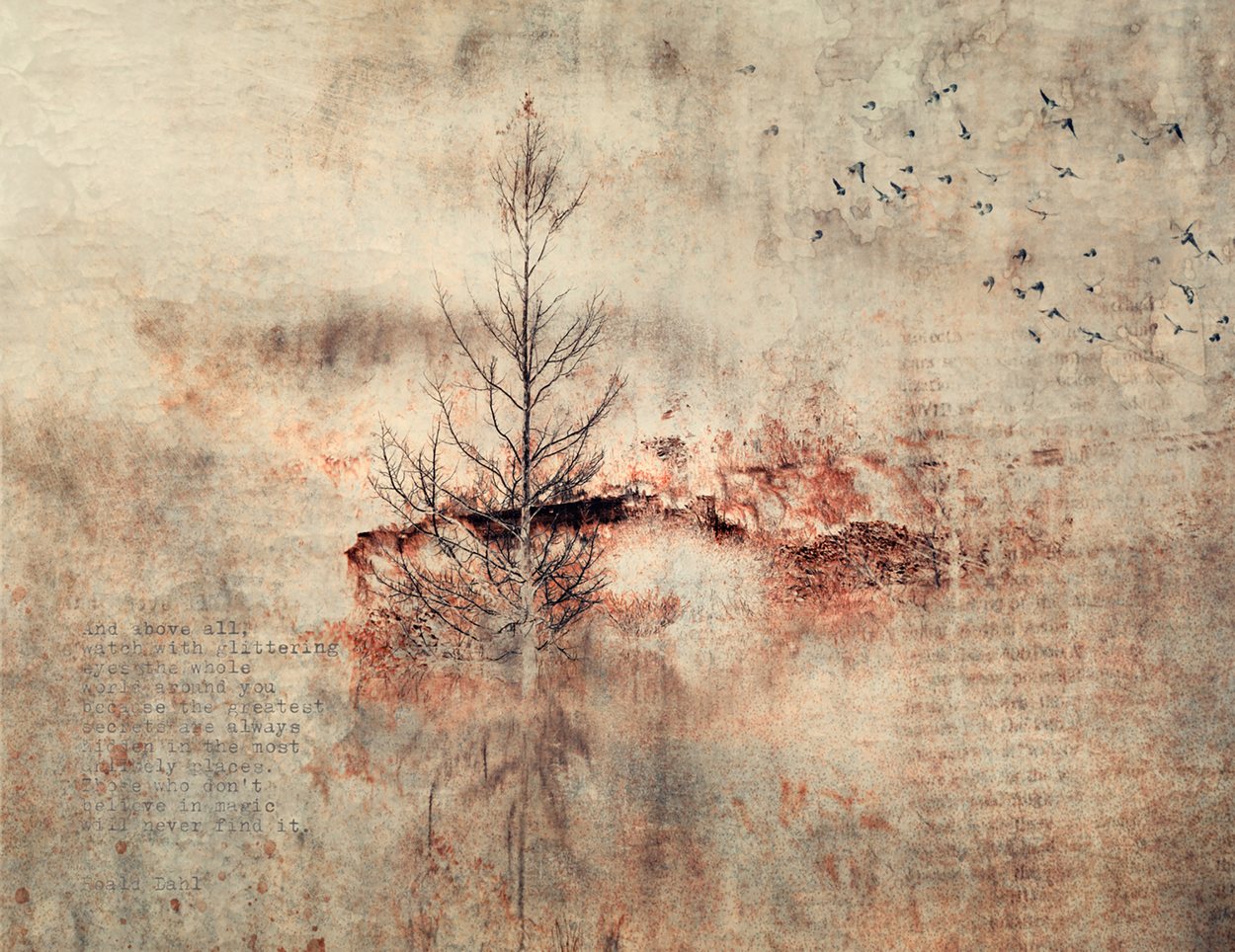 Memoir No.1, by Samantha Lee Osner