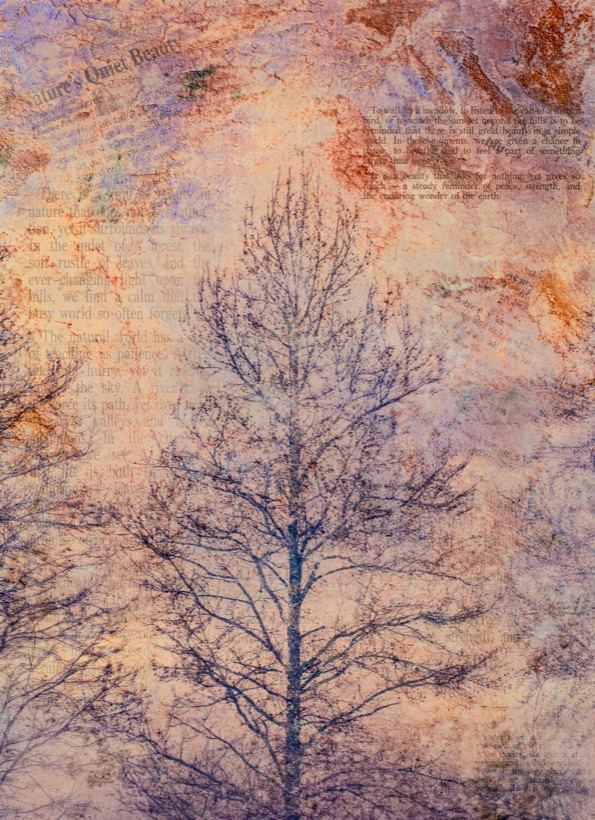 Autumn Memoirs, Samantha Lee Osner