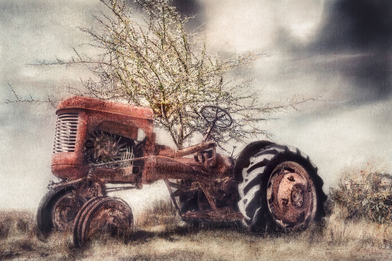 Tilling Time, a work by Lize du Plessis