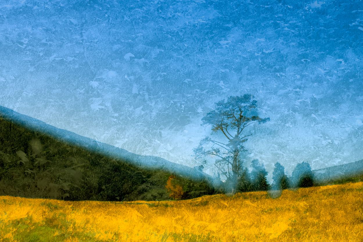 Where Silence Breathes, a work by Engela Gobregts