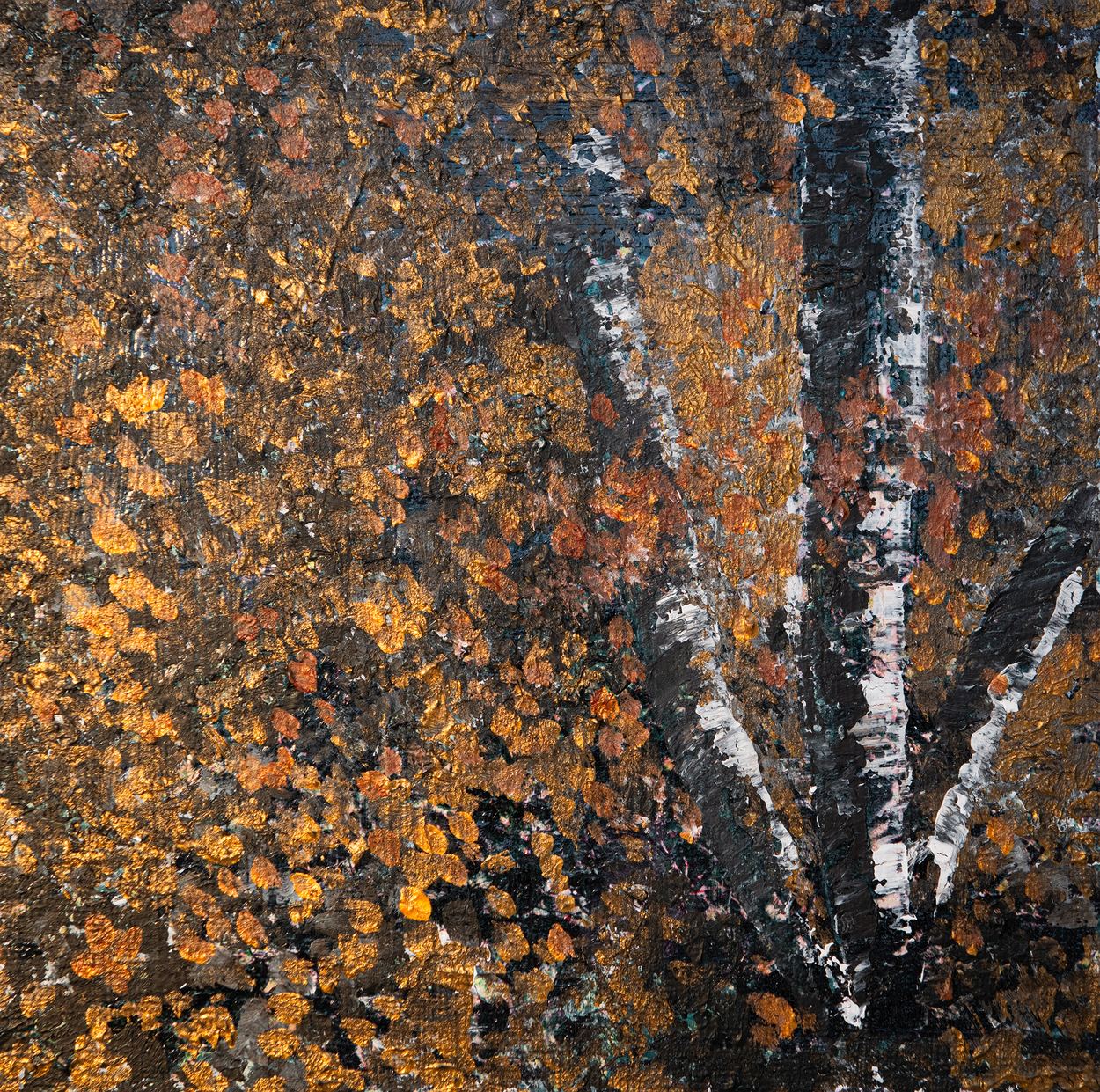 Seasonal light, a work by Tara Crossley