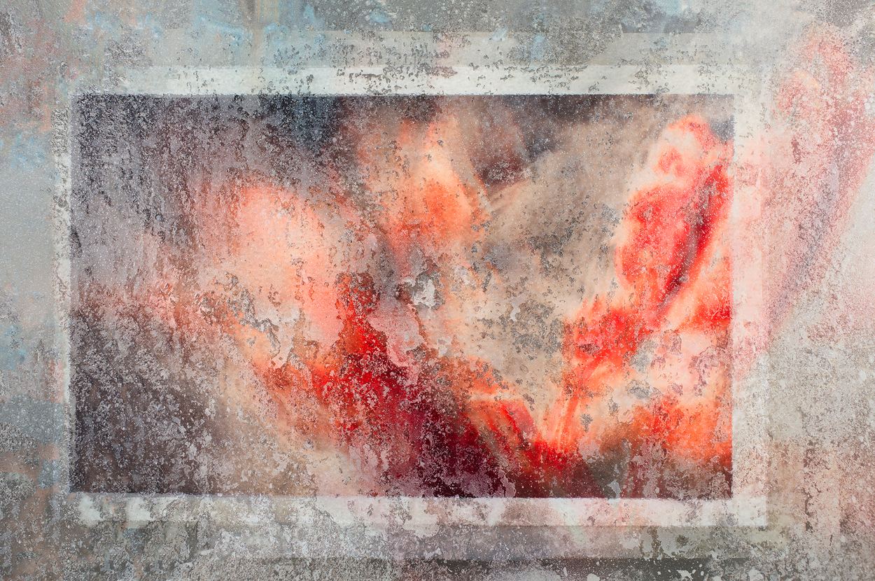 Bright Flower, a work by Lize du Plessis
