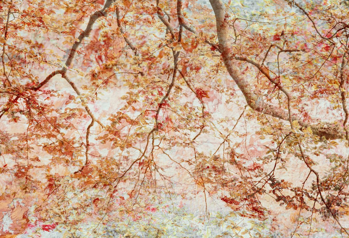 When Branches become Air, a work by Ann Baret