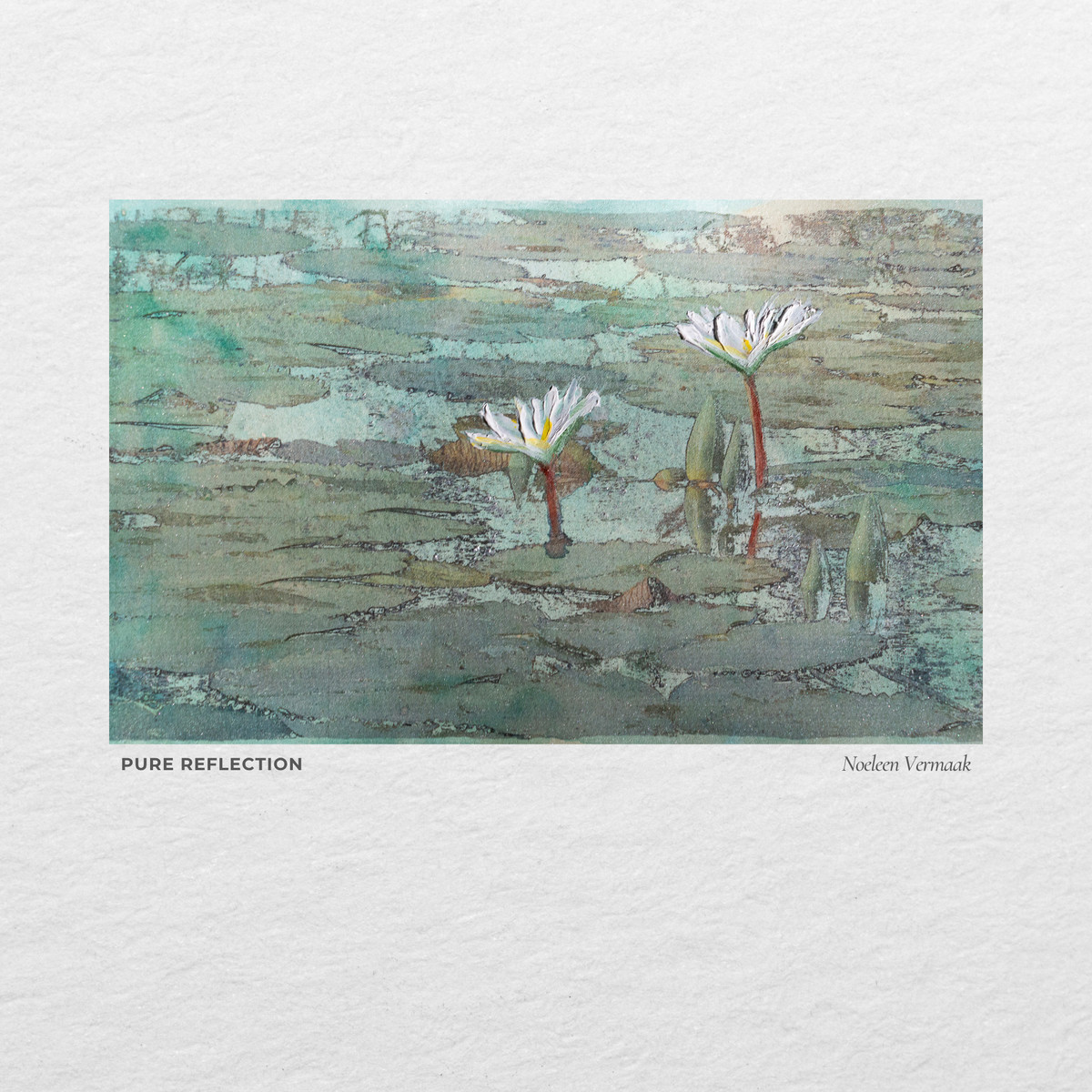 Water lilies on a still textured pool
