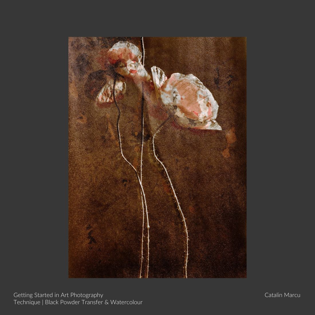 A photographic artwork by Catalin Marcu, made on the Getting Started in Art Photography course using the Black Powder Transfer and Watercolour technique