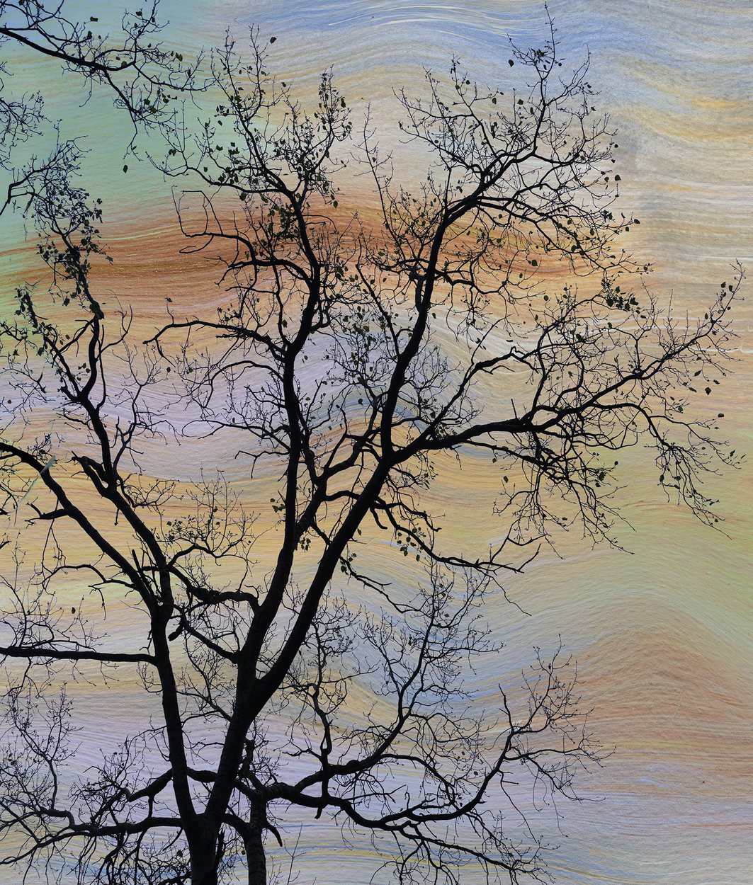 Painted Sky, by Samantha Lee Osner