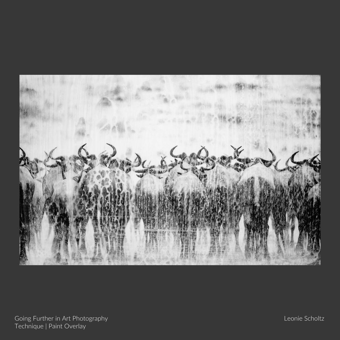 Artwork made by a student of the Art Photography Academy, captioned with the artist, the title and the technique