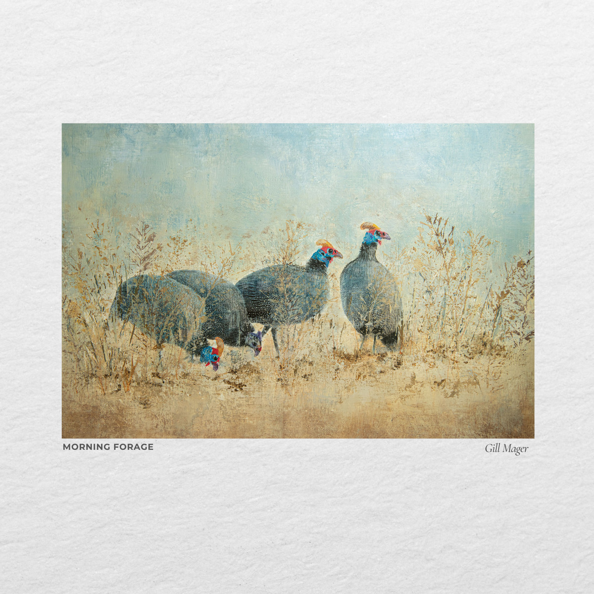 Guineafowl foraging in dry grass
