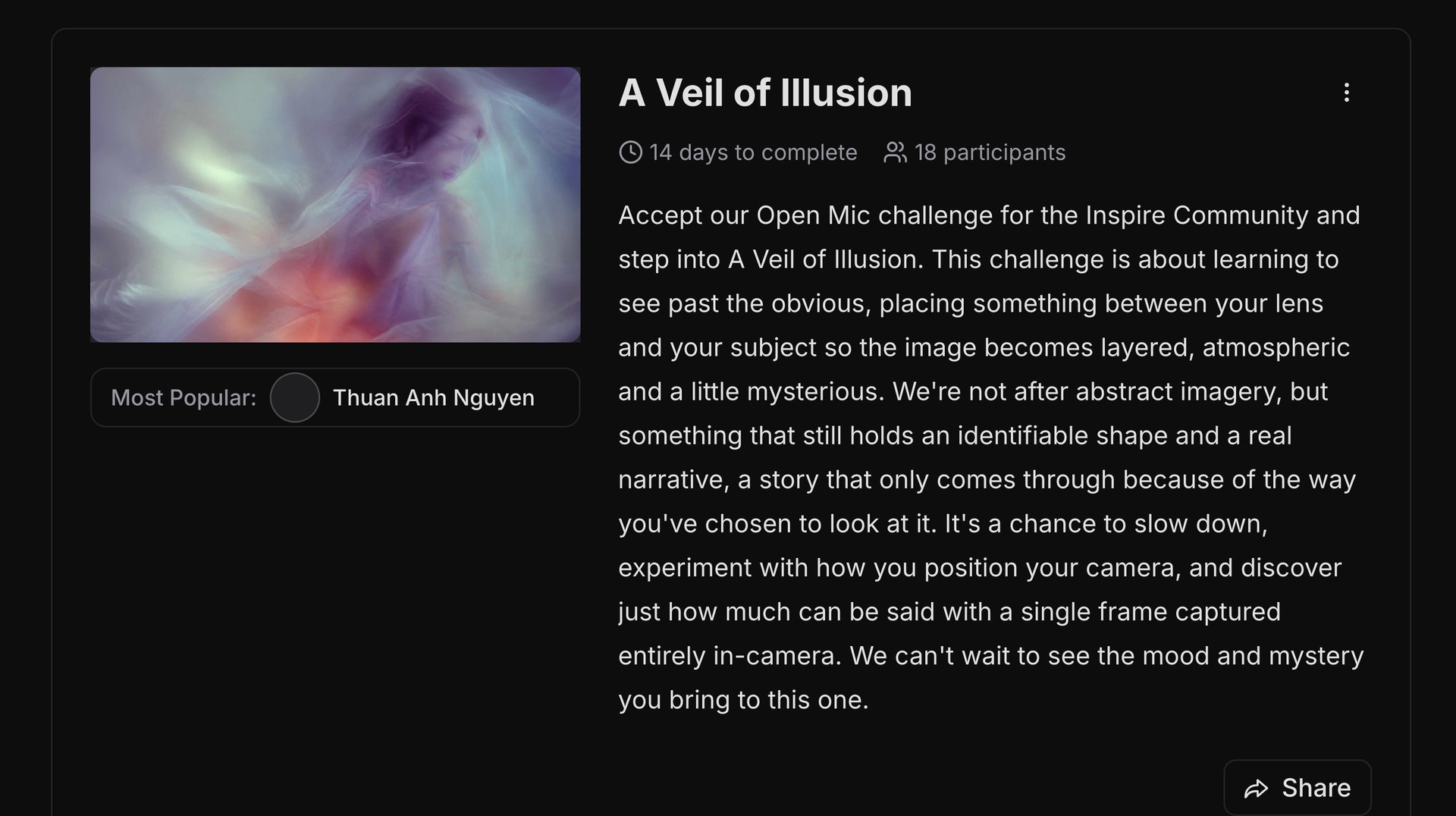 The full text of the A Veil of Illusion challenge brief inside the community