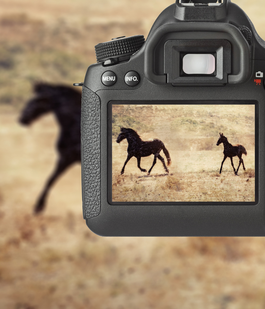 A fine art photograph from the Art Photography Academy journal