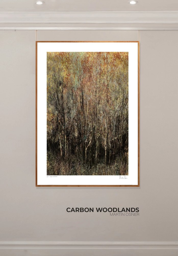 Carbon Woodlands framed and hung on a gallery wall