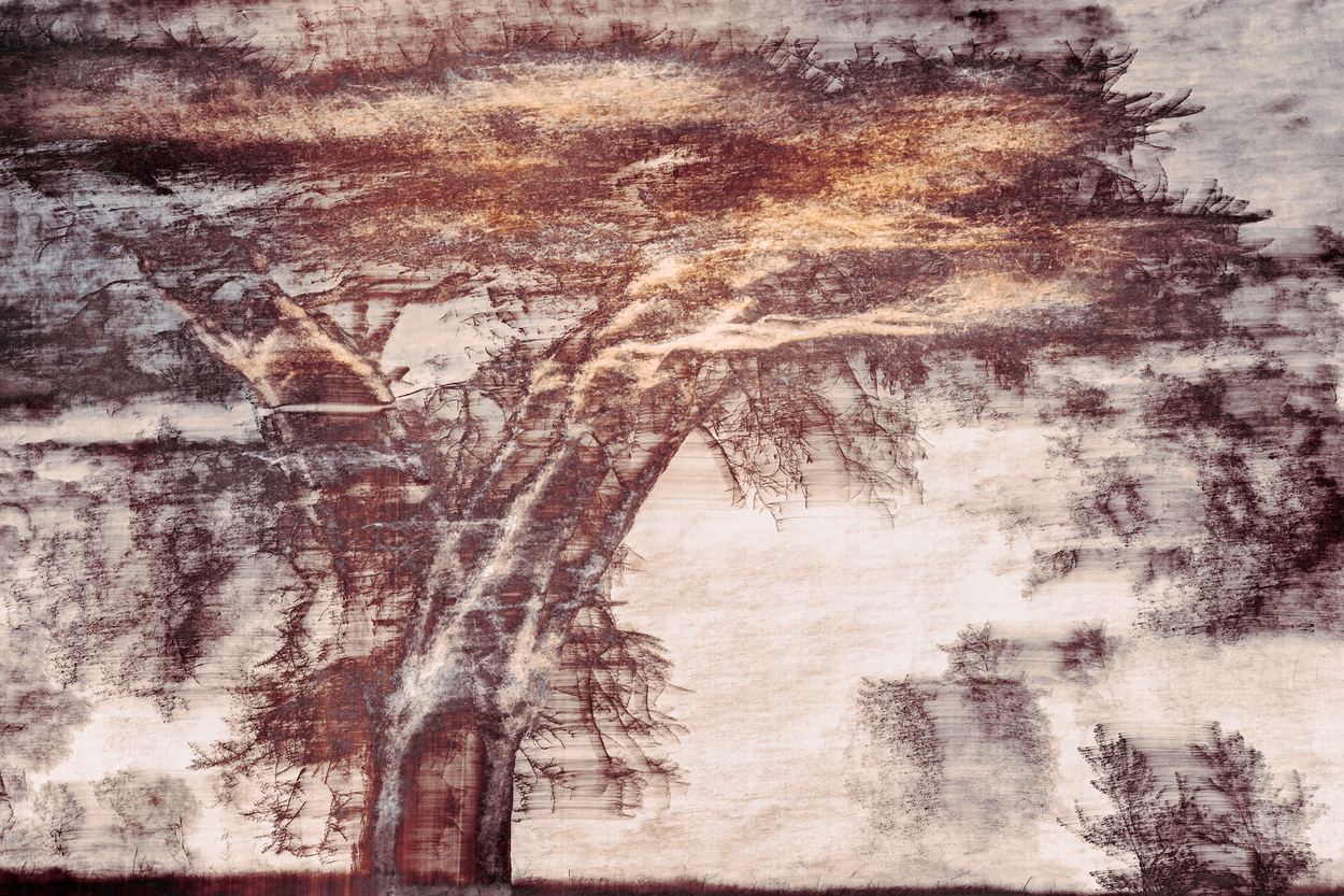 Never Met, a work by Lize du Plessis