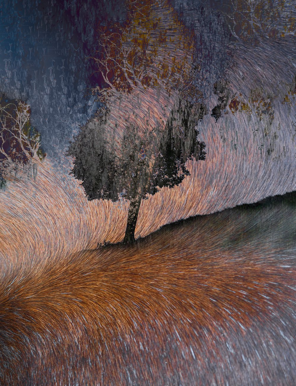 A spreading tree dissolving into a pale wash of ochre and grey