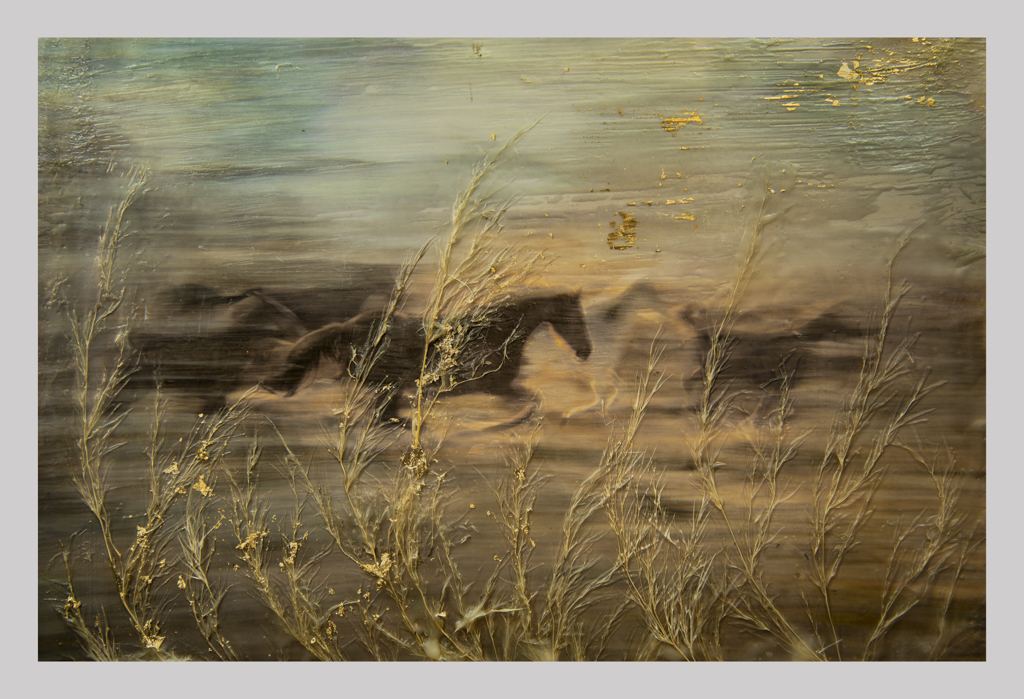 Wild and free, a work by Gillian Mager