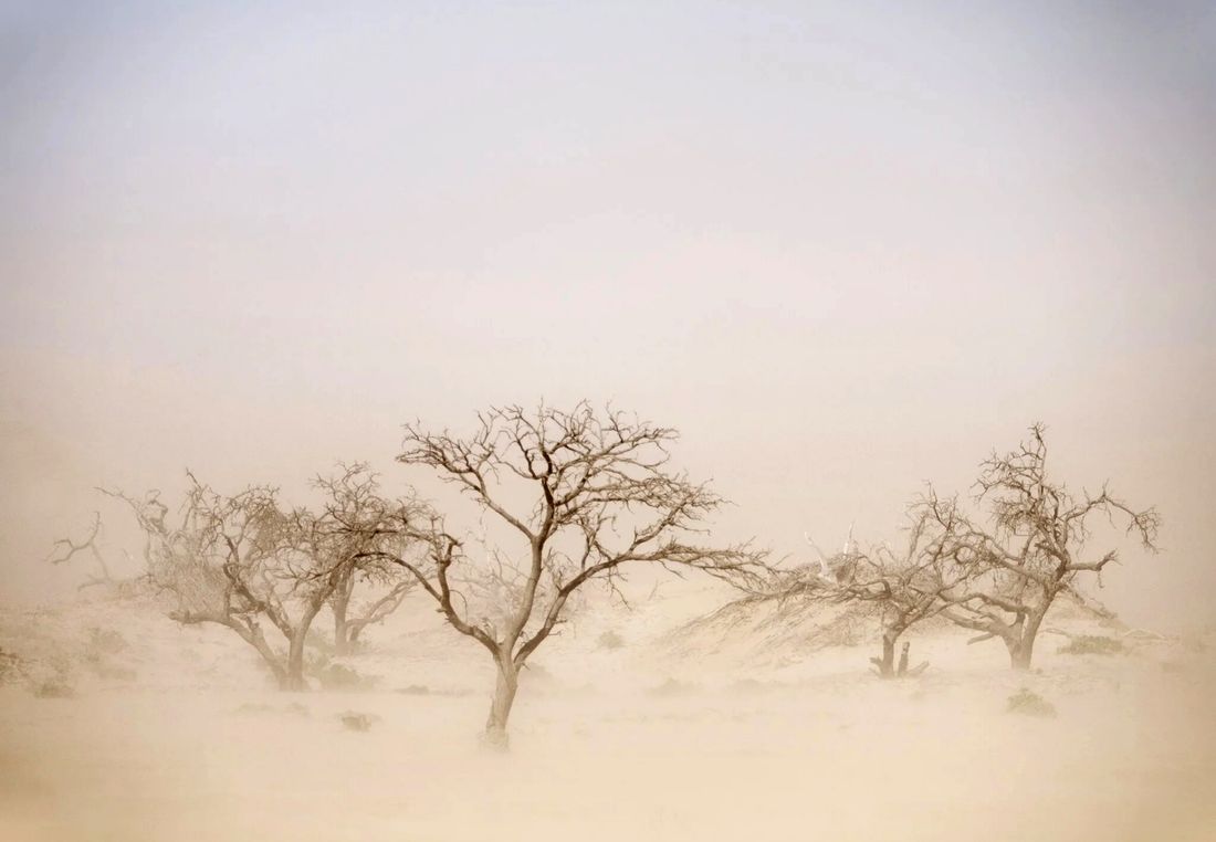 Solitary, by Martin Osner